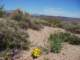 imgp3077_small.jpg