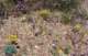 imgp3078_small.jpg