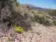 imgp3079_small.jpg