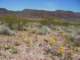 imgp3081_small.jpg
