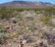 imgp3087_small.jpg