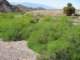 imgp3090_small.jpg