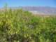 imgp3097_small.jpg