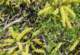 imgp3098_small.jpg
