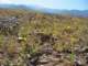 imgp3099_small.jpg