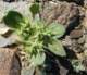 imgp3102_small.jpg