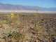imgp3105_small.jpg