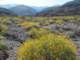imgp3106_small.jpg