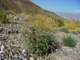 imgp3110_small.jpg