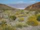 imgp3111_small.jpg