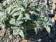 imgp3112_small.jpg