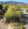 imgp2178_small.jpg