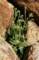 imgp2187_small.jpg