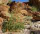 imgp2188_small.jpg