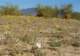 imgp2190_small.jpg