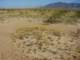 imgp2193_small.jpg