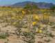 imgp2194_small.jpg