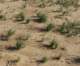 imgp2195_small.jpg