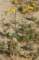 imgp2196_small.jpg