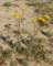 imgp2197_small.jpg