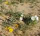 imgp2198_small.jpg