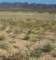 imgp2203_small.jpg