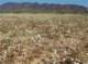 imgp2205_small.jpg
