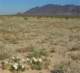 imgp2208_small.jpg