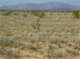 imgp2209_small.jpg