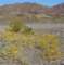 imgp2210_small.jpg