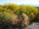 imgp2211_small.jpg