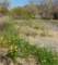 imgp2218_small.jpg