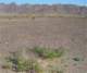 imgp2220_small.jpg
