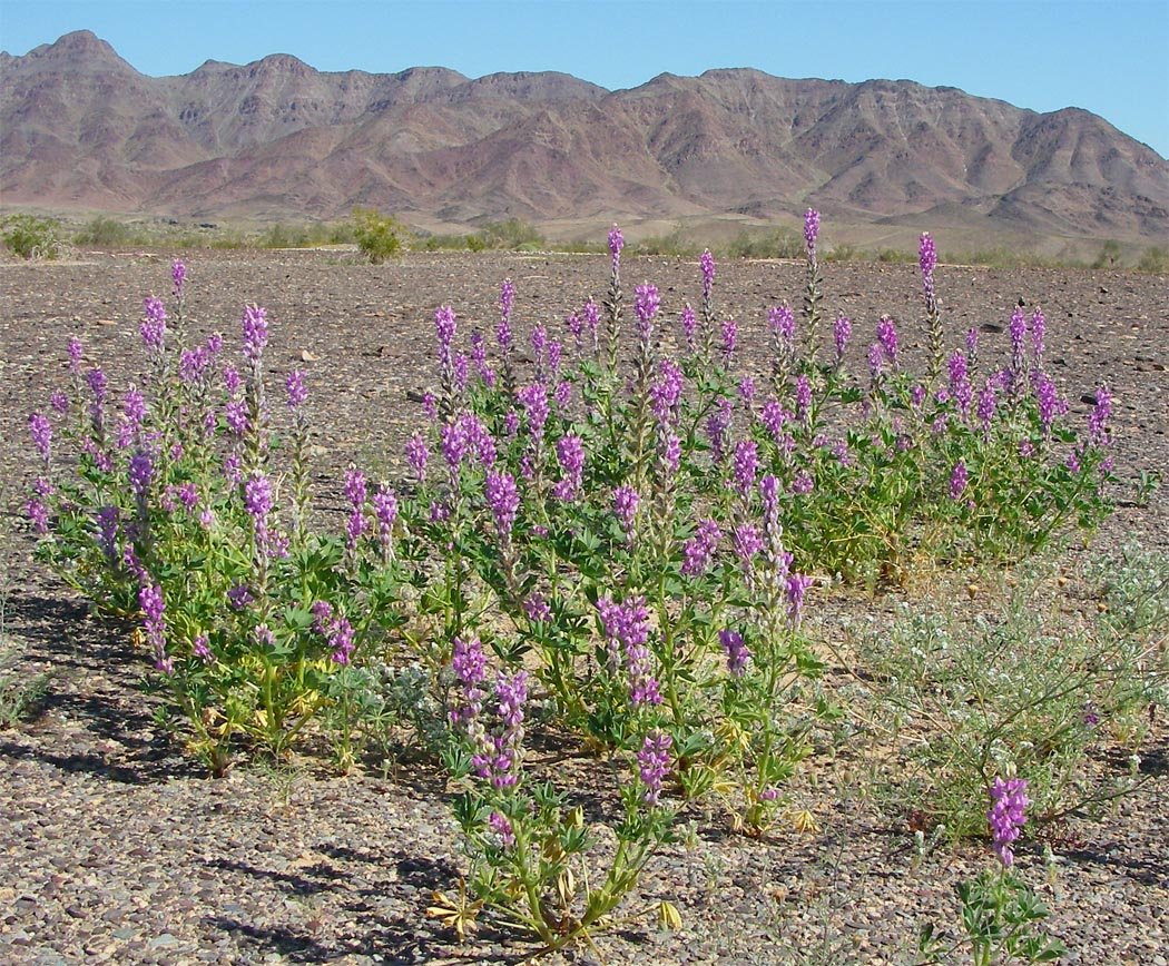 imgp2221.jpg