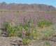 imgp2221_small.jpg