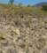 imgp2222_small.jpg