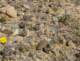 imgp2223_small.jpg