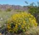 imgp2224_small.jpg