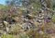 imgp2225_small.jpg