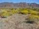 imgp2228_small.jpg