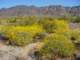 imgp2229_small.jpg