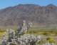 imgp2231_small.jpg