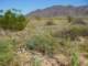 imgp2232_small.jpg