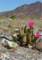 imgp2236_small.jpg