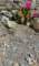 imgp2237_small.jpg