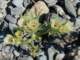 imgp2238_small.jpg