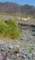 imgp2239_small.jpg