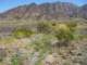 imgp2241_small.jpg