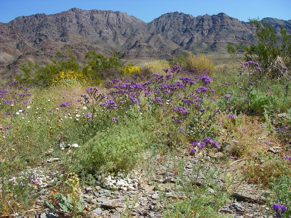 imgp2242.jpg