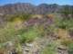 imgp2242_small.jpg